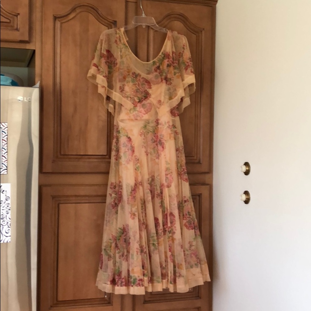 Vintage Sheer Floral Dress with Coordinating Slip